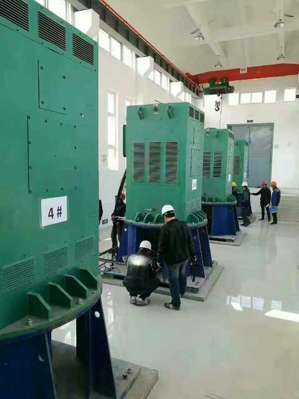 崇川某污水处理厂使用我厂的立式高压电机安装现场