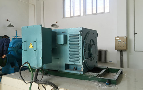 崇川某水电站工程主水泵使用我公司高压电机一年质保
